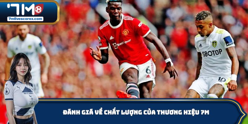 Đánh giá về chất lượng của thương hiệu 7M