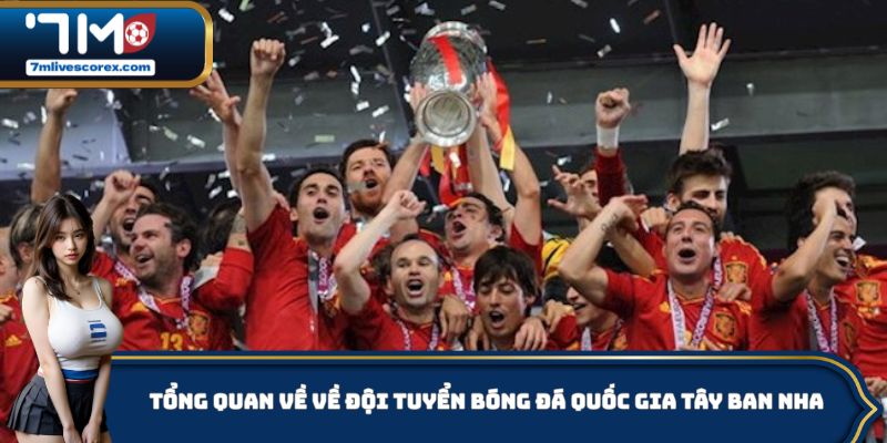 Một vài nét cơ bản về đội tuyển bóng đá quốc gia Tây Ban Nha