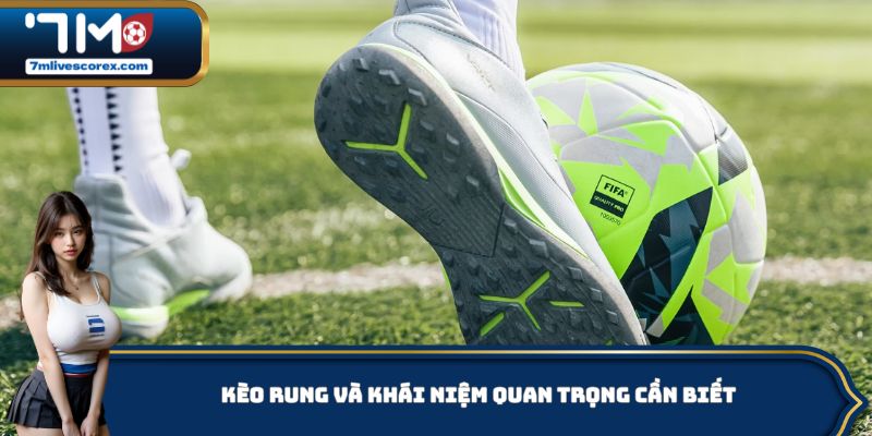 Kèo rung và khái niệm quan trọng cần biết