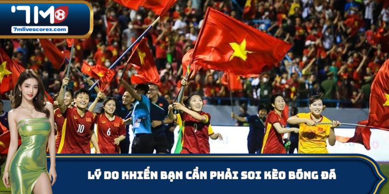 Lý do khiến bạn cần phải soi kèo bóng đá