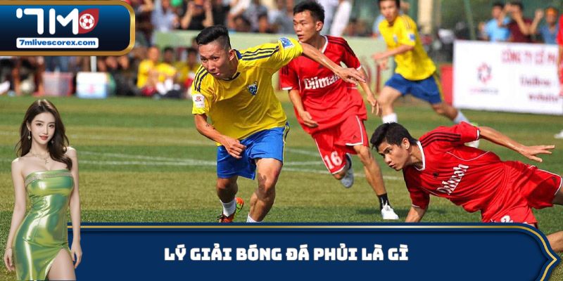Lý giải bóng đá phủi là gì