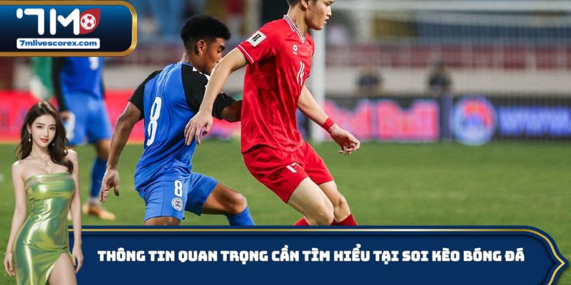 Thông tin quan trọng cần tìm hiểu tại soi kèo bóng đá