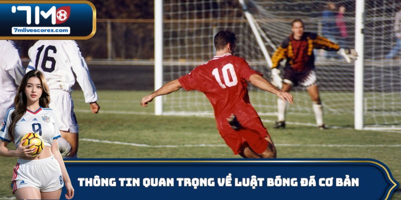 Thông tin quan trọng về luật bóng đá cơ bản