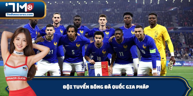 Đội tuyển bóng đá quốc gia Pháp