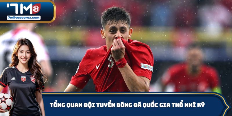 Tổng quan đội tuyển bóng đá quốc gia Thổ Nhĩ Kỳ